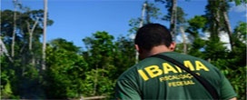 Ibama emitiu 636 licenças e autorizações em 2019