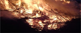Mapeamento elaborado pela Funceme aponta áreas com maiores riscos para ocorrência de incêndios florestais