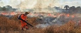 Setor florestal e governo unem for�as em Minas para refor�ar preven��o e resposta a inc�ndios no per�odo de seca