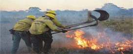 Como combater focos de incêndio em zonas rurais?