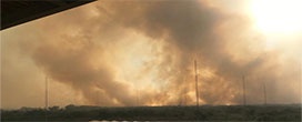 Pantanal tem 100 mil hectares destruídos por queimadas que começaram há 10 dias em MT