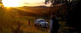 Inventário Florestal Nacional revelará condição do bioma Cerrado