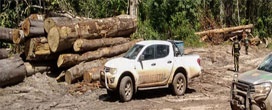 Ibama combate desmatamento na Terra Indígena Tembé (PA)