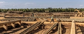 Relat�rio da FAO e da Bauhaus Earth destaca o papel da madeira na redu��o das emiss�es da constru��o civil