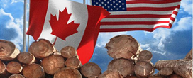 Coalizão Madeireira dos EUA: Canadá busca evitar responsabilização por práticas comerciais