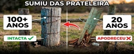 Madeira que dura d�cadas no solo some das prateleiras enquanto qu�micos dominam cercas e decks e o black locust volta ao debate sobre durabilidade e risco