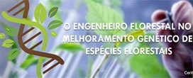 O engenheiro florestal no melhoramento genético de espécies florestais