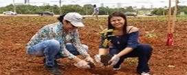 Servidores realizam plantio de mudas nativas e frutíferas em área adotada pelo Ruraltins