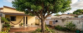 Cientistas da Embrapa calculam que uma �rvore de neem adulta no quintal afasta at� 200 esp�cies de insetos e reduz em at� 3 �C a temperatura do c�modo mais pr�ximo