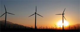 O Nordeste é referência na produção de energia eólica no Brasil