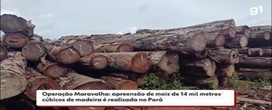 Opera��o apreende mais de 14 mil m� de madeira ilegal e aplica multas de R$ 84 milh�es no Par�