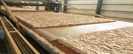 Ont�rio investe US$ 10 milh�es na f�brica de OSB North Woods da Georgia-Pacific