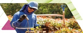A produ��o brasileira de pain�is de madeira totalizou 9,7 milh�es de metros c�bicos