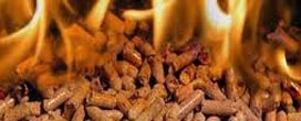 Pellets de madeira em países de primeiro mundo e o crescimento no Brasil