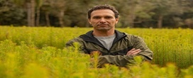 Pesquisa busca adaptar pinus �s mudan�as clim�ticas e aumentar a produtividade