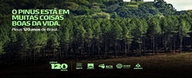 Campanha institucional mostra import�ncia econ�mica, social e ambiental do Pinus, ap�s 120 anos no Brasil
