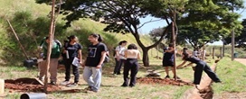 Parceria amplia produ��o de �rvores como ip�s e pitangueiras destinadas a �reas p�blicas de BH