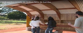 Universidade de Brasília testa ponto de ônibus de bambu e eucalipto