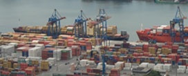 Porto de Santos (SP) tem liderança e pasta de celulose cresce 74%