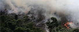 RO acumula mais de 560 focos de queimadas na 4ª semana de setembro