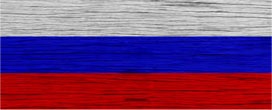 Está diminuindo a importação de toras da Rússia pelo Japão