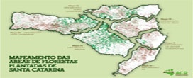 Estudo aponta áreas de silvicultura em Santa Catarina