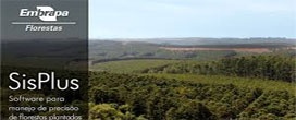Manejo florestal de precisão ganha novo software série SisPlus
