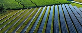 Energia solar cresce 70 por cento no Brasil apesar da pandemia e espera 2021 positivo