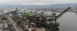 Terminais de celulose no Porto de Santos são aprovados pela TCU