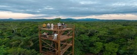 Ap�s mais de 1 milh�o de mudas plantadas, �rea de conserva��o do Paran� ganha torre para observar a biodiversidade da Mata Atl�ntica