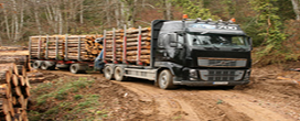 Setor Florestal: Aumento da Carga Mxima Admitida para Transporte