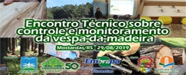 Região do Litoral recebe 3º Encontro Técnico sobre controle e monitoramento da vespa-da-madeira em Mostardas/RS