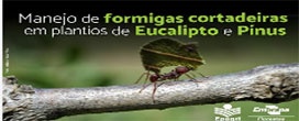 Vídeo aborda o manejo de formigas cortadeiras em plantios de eucalipto e pínus