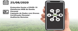 Workshop Online Gerenciamento Remoto de Atividades Florestais: Como Organizar os Controles a Distância!
