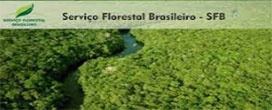 Exportações de produtos florestais - terceira maior receita